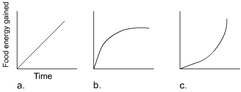 Image: three graphs of food energy gained versus time: a. straight line b. convex curve c. concave curve