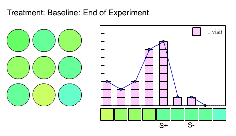 Image: illustration from the end of the slide show on experimental design. Bar graph of visits shows most visits were to the S+ color.