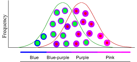 Image: line graph of frequency of different flower colors. The rewarding flowers have a large reward.