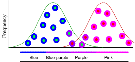 Image: line graph of frequency of flower colors. There is only a slight overlap between the rewarding colors and the non-rewarding colors.