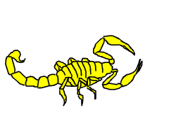 animation of scorpion morphing into a fighter
