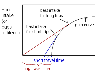 Image: Diagram of gain curve