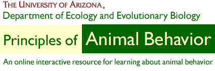 The Animal Behavior Project at the University of Arizona