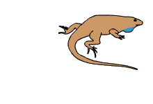 animation of lizard lashing its tail