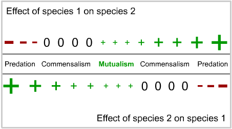 Image: a continuum of effects of species 1 on species 2, with varying strengths of interaction effects