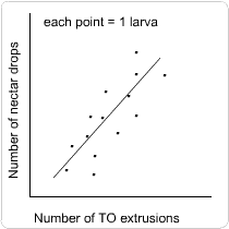 Image: line graph of number of nectar drops as a function of number of TO extrusions; relationship is positive.