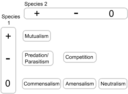 Image: grid of interactions between two species: mutualism (++) predation/parasitism (+-) competition (--) commensalism (+0) amensalism (-0) neutralism (00)