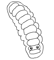 Looping cartoon of tentacular organs on a larva being extruded and then pulled back in