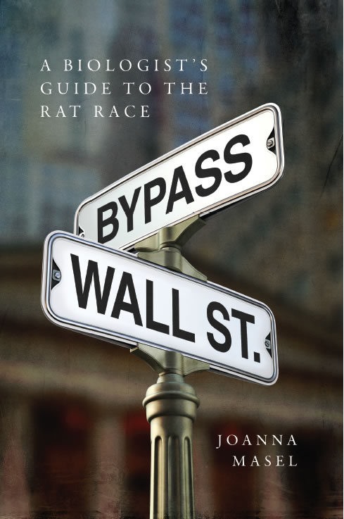 Bypass Wall St book cover